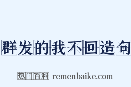 群发的我不回造句是什么意思的图片